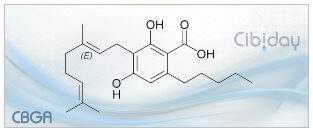 CBGA Cannabigerolic acid info